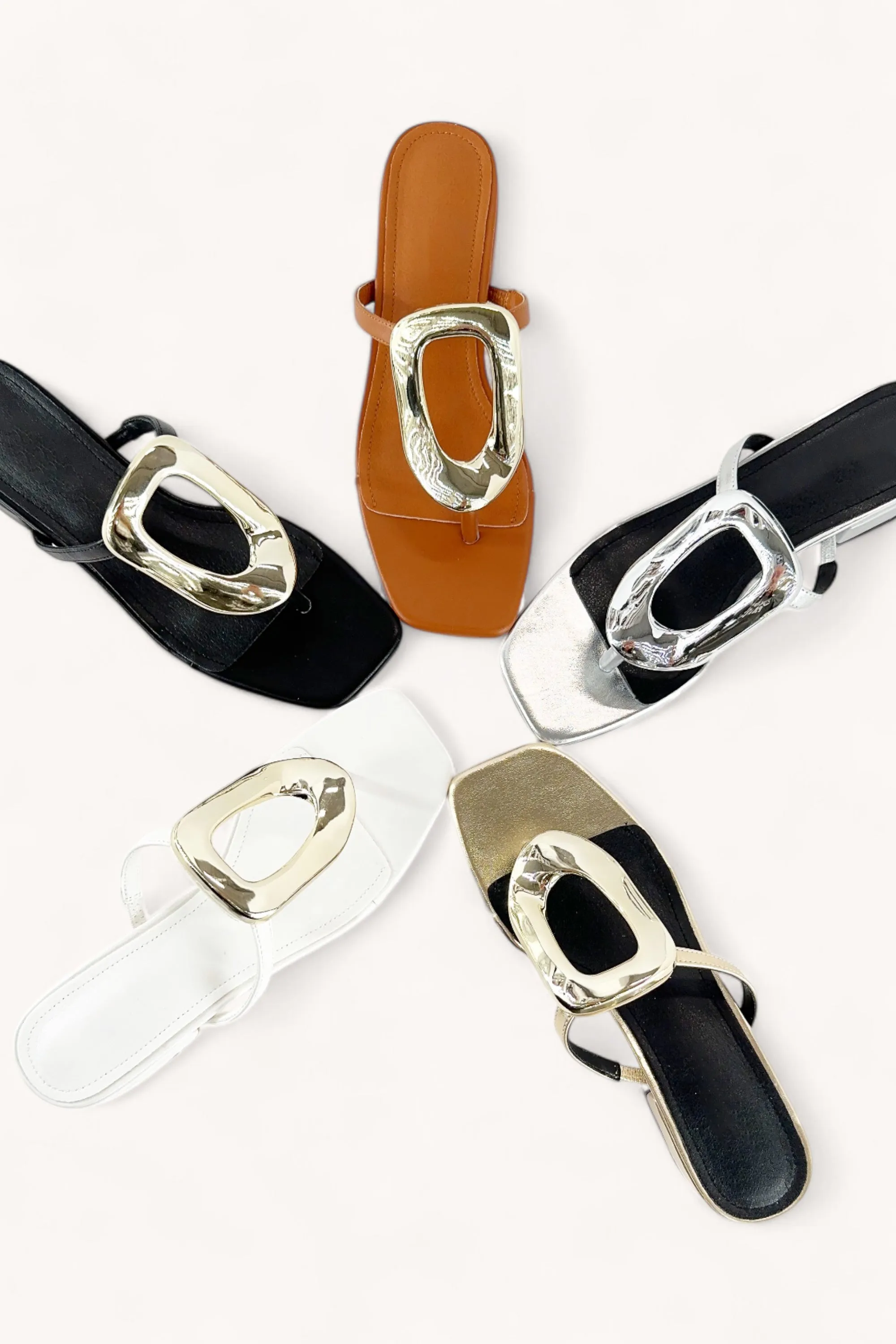 CERTIFY-20 sold by CCOCCI product image thumbnail 2