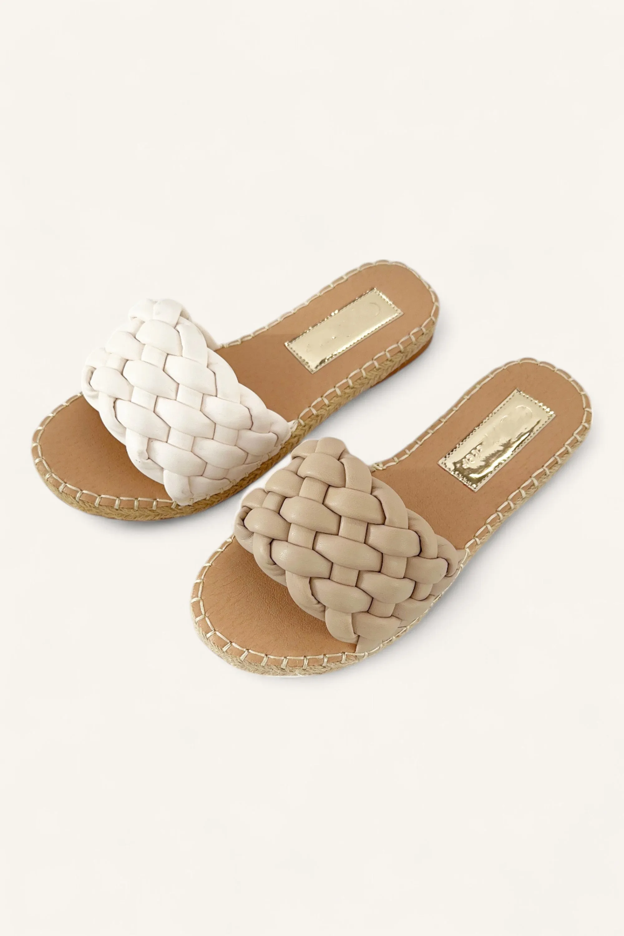 EXAM-20 sold by CCOCCI product image thumbnail 2