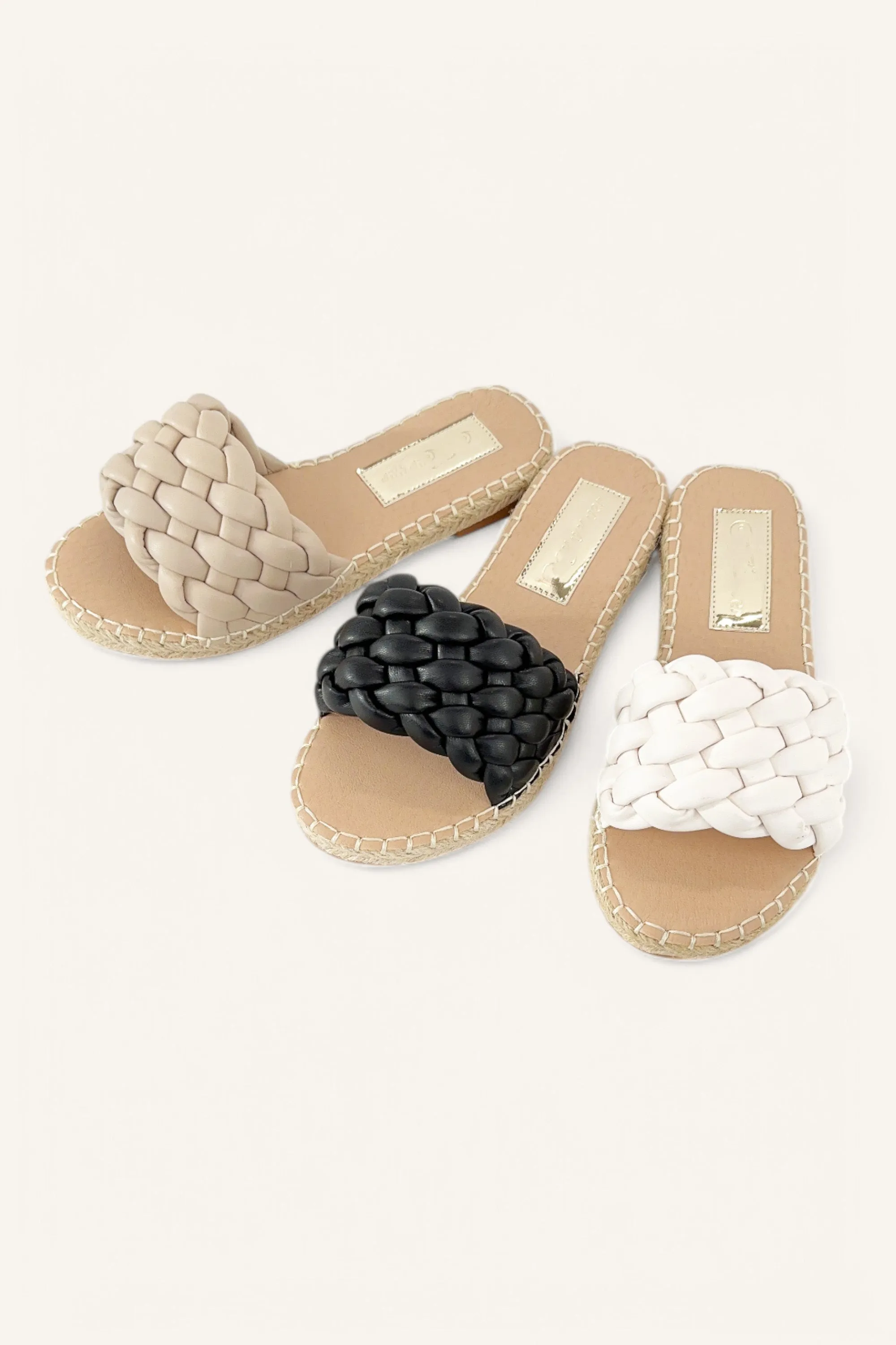 EXAM-20 sold by CCOCCI