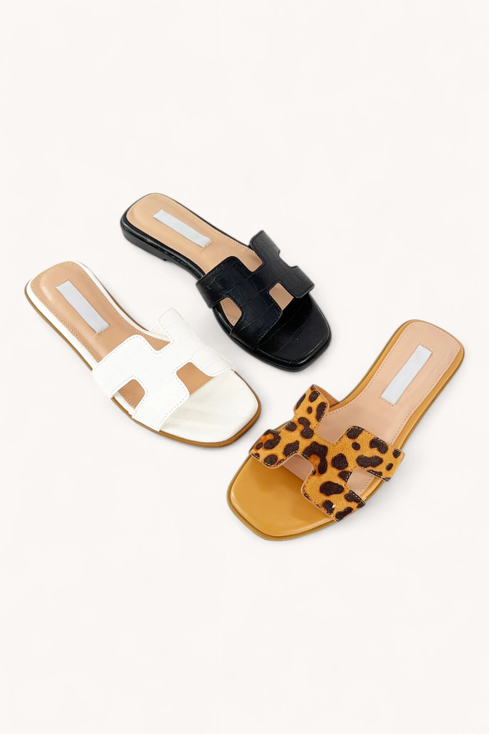 MAIN-13_A sold by CCOCCI product image thumbnail 4