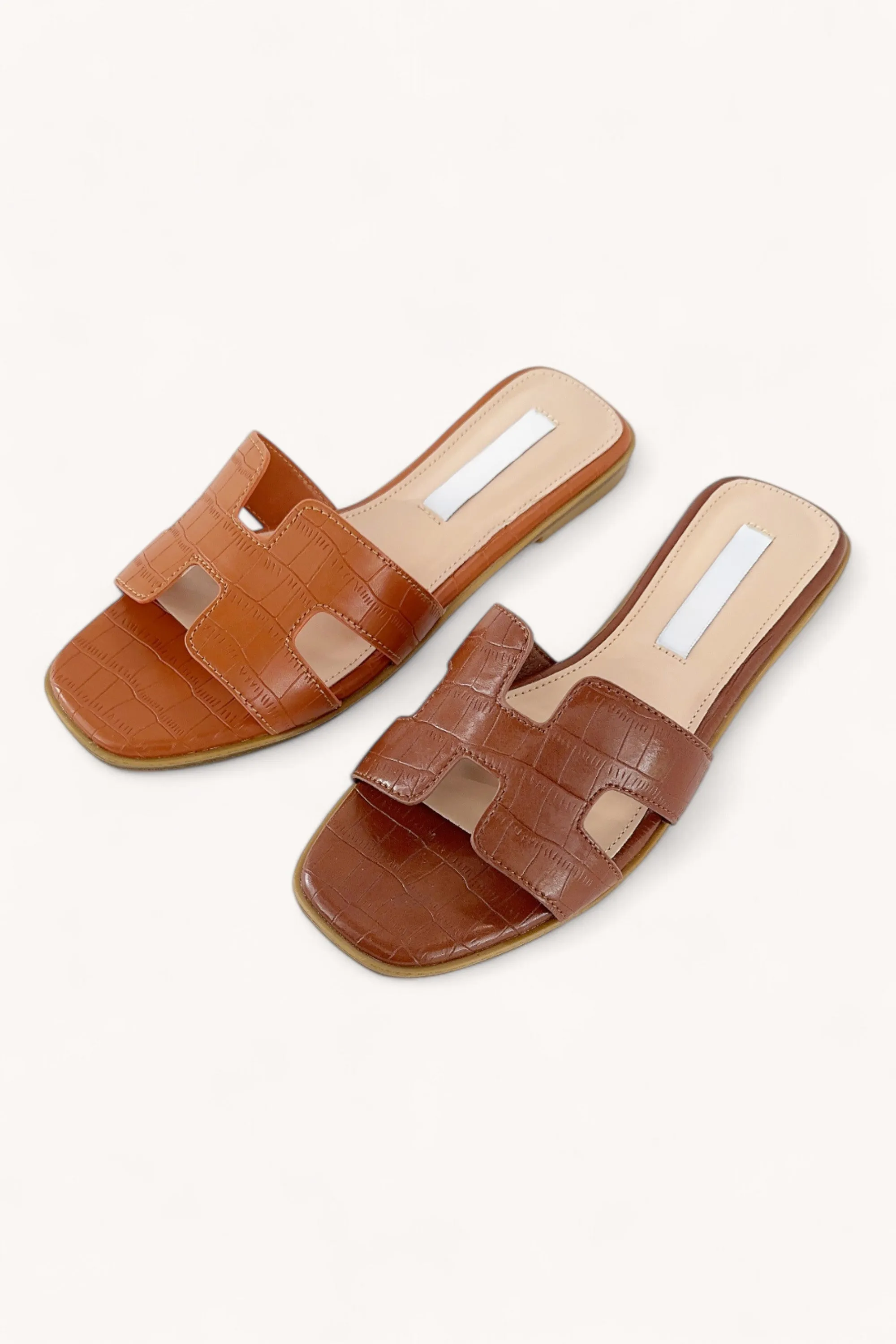 MAIN-13_A sold by CCOCCI product image thumbnail 2