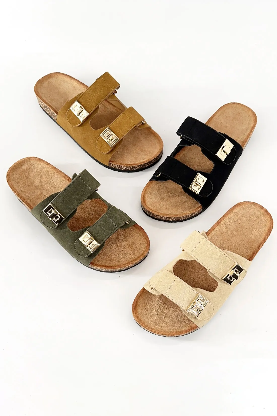 BACON-38 sold by CCOCCI