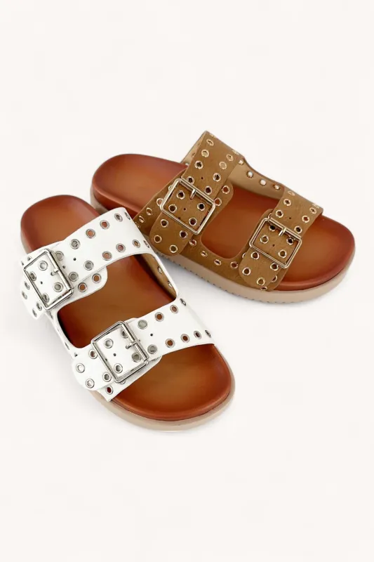 ADELE-50 sold by CCOCCI