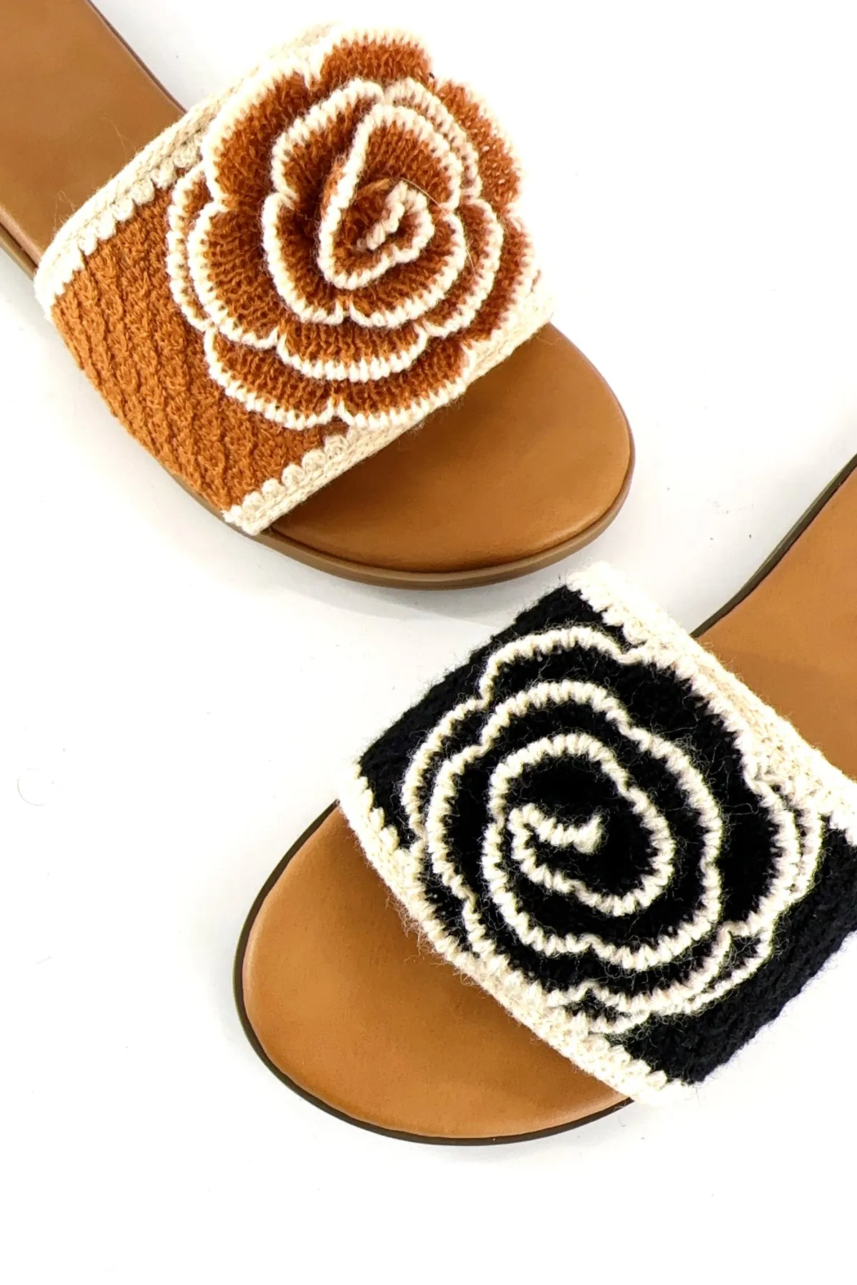 AMPLE-81 sold by CCOCCI