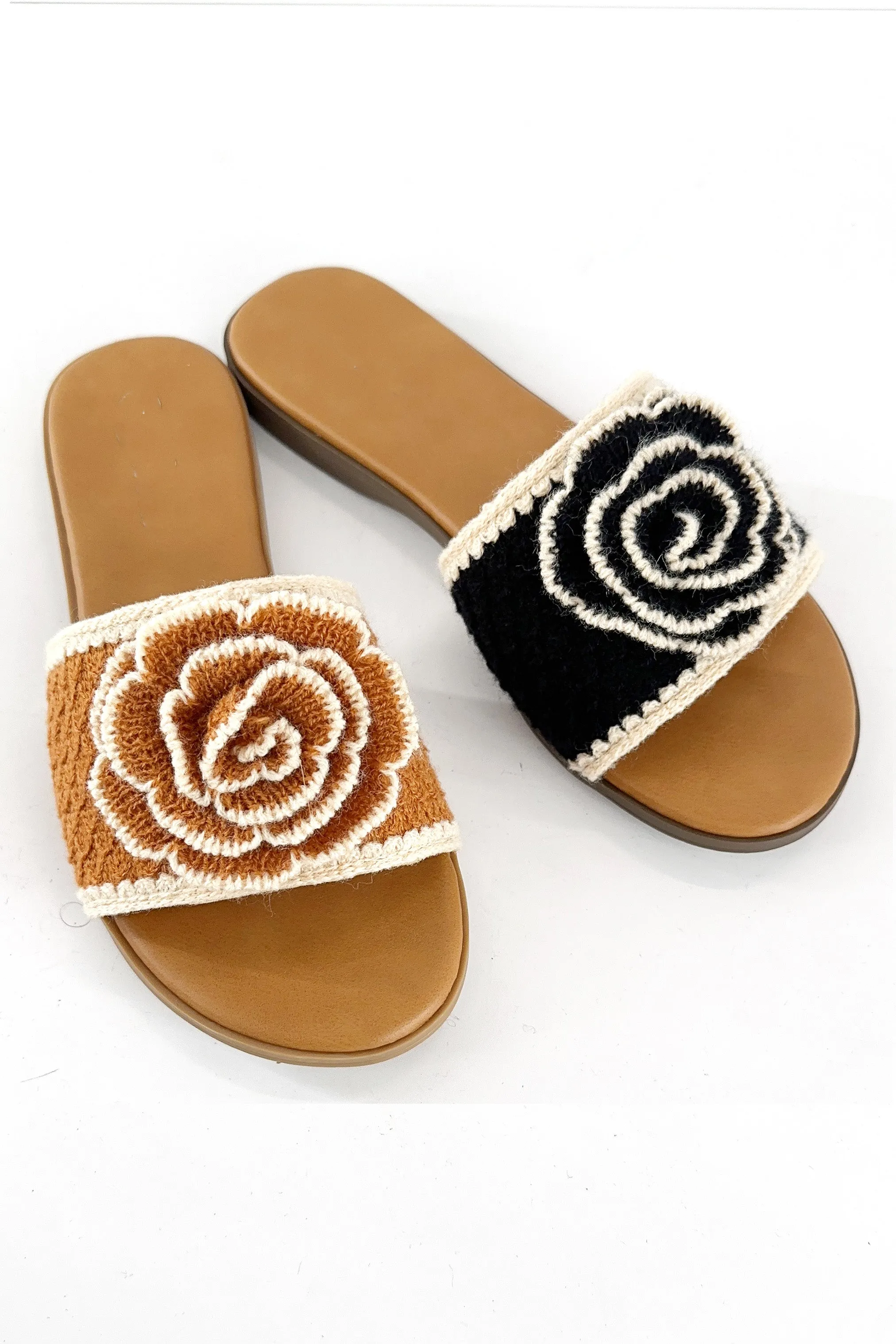 AMPLE-81 sold by CCOCCI product image thumbnail 4