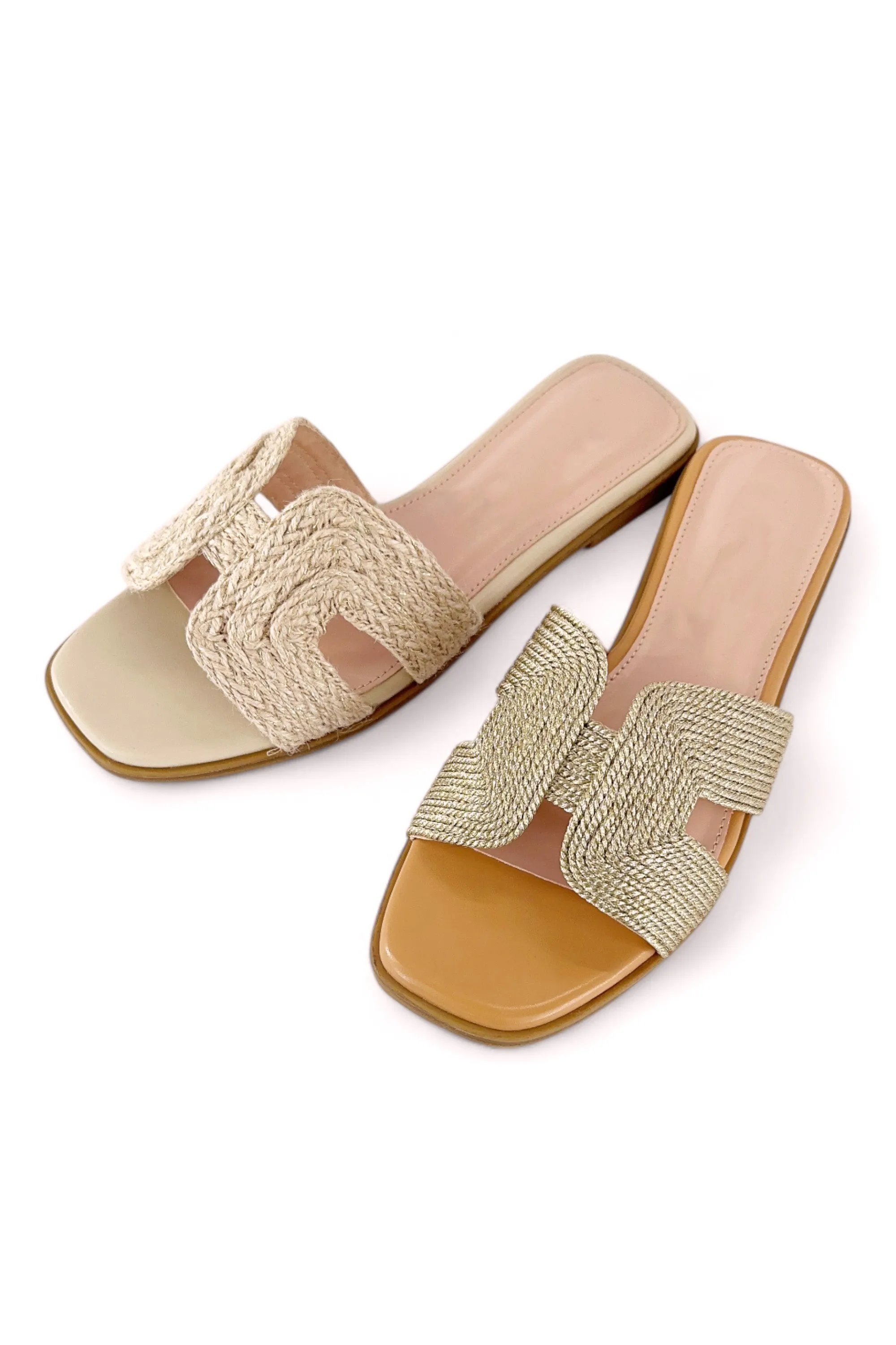 MAIN-29 sold by CCOCCI