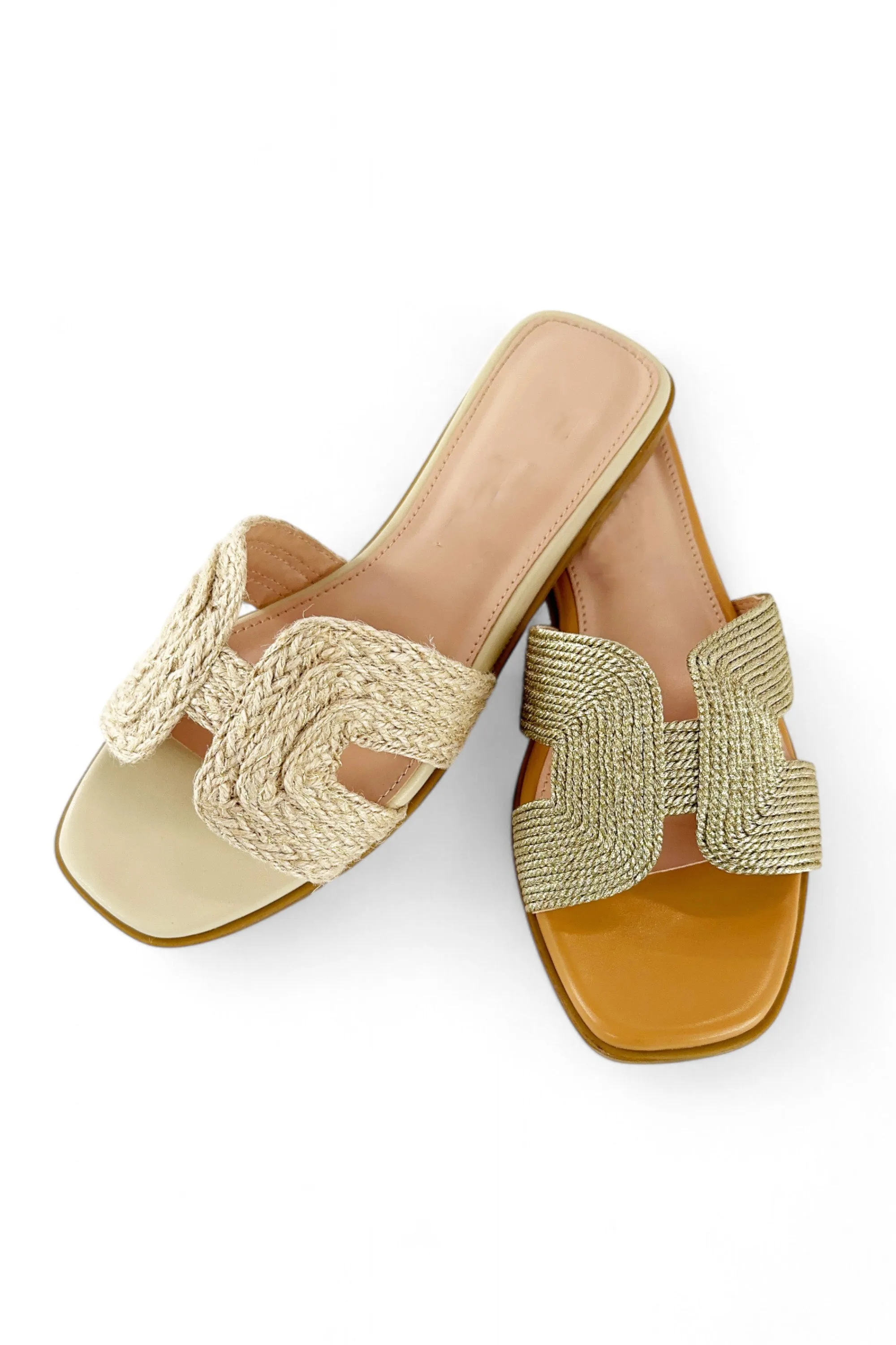 MAIN-29 sold by CCOCCI product image thumbnail 2