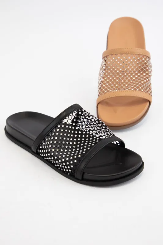 ENSURE sold by CCOCCI