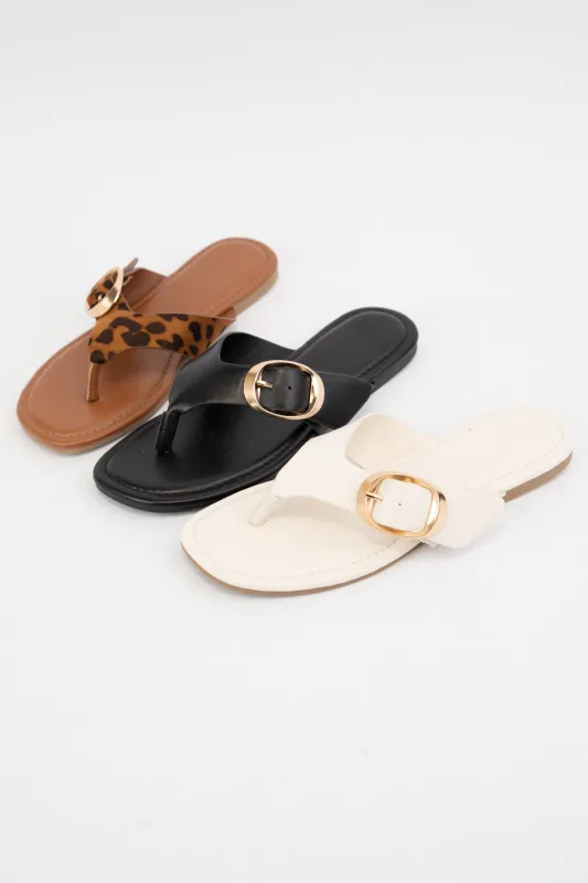 OAHU-06 sold by CCOCCI