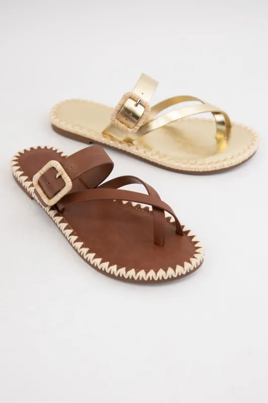 ADELE sold by CCOCCI