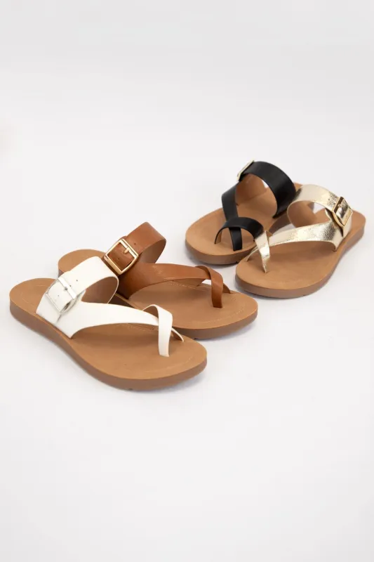 STORM sold by CCOCCI