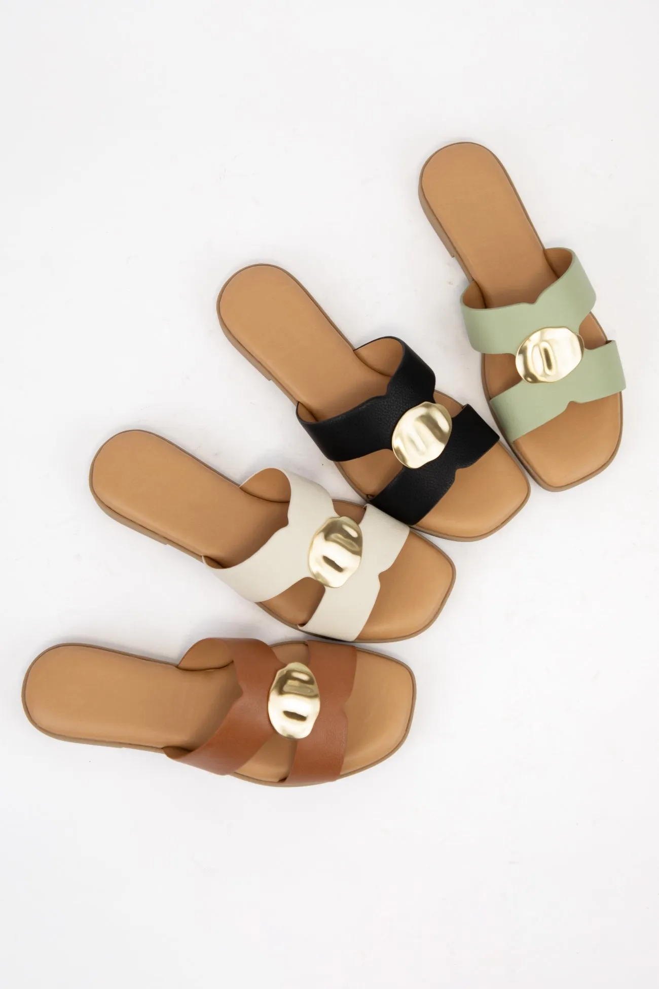 SAYLOR sold by CCOCCI