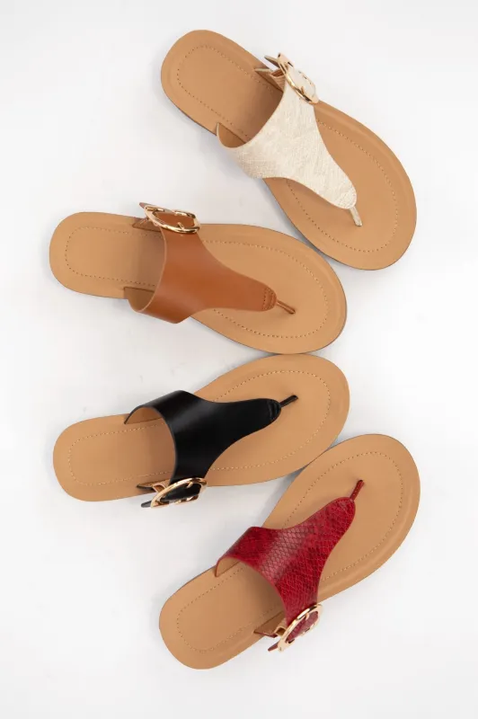 ROBERT sold by CCOCCI