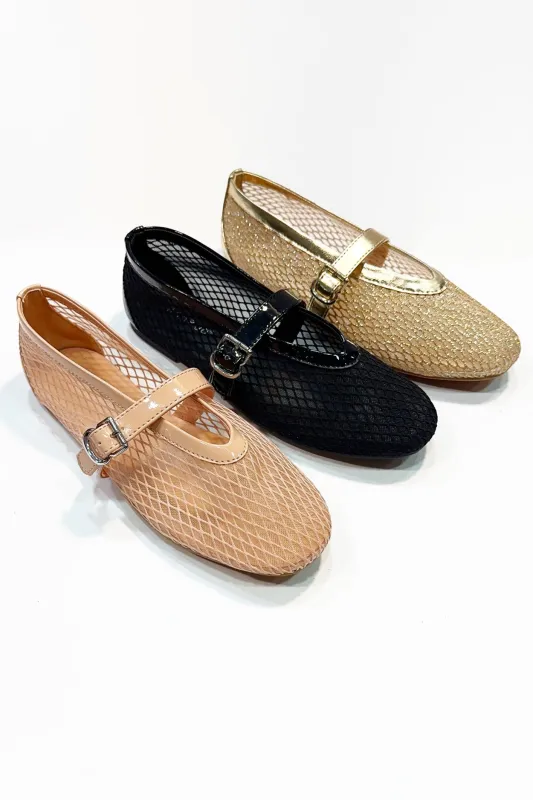 ACCEPT-29 sold by CCOCCI