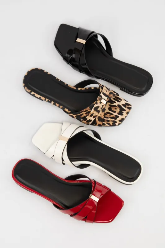 NAOMI sold by CCOCCI