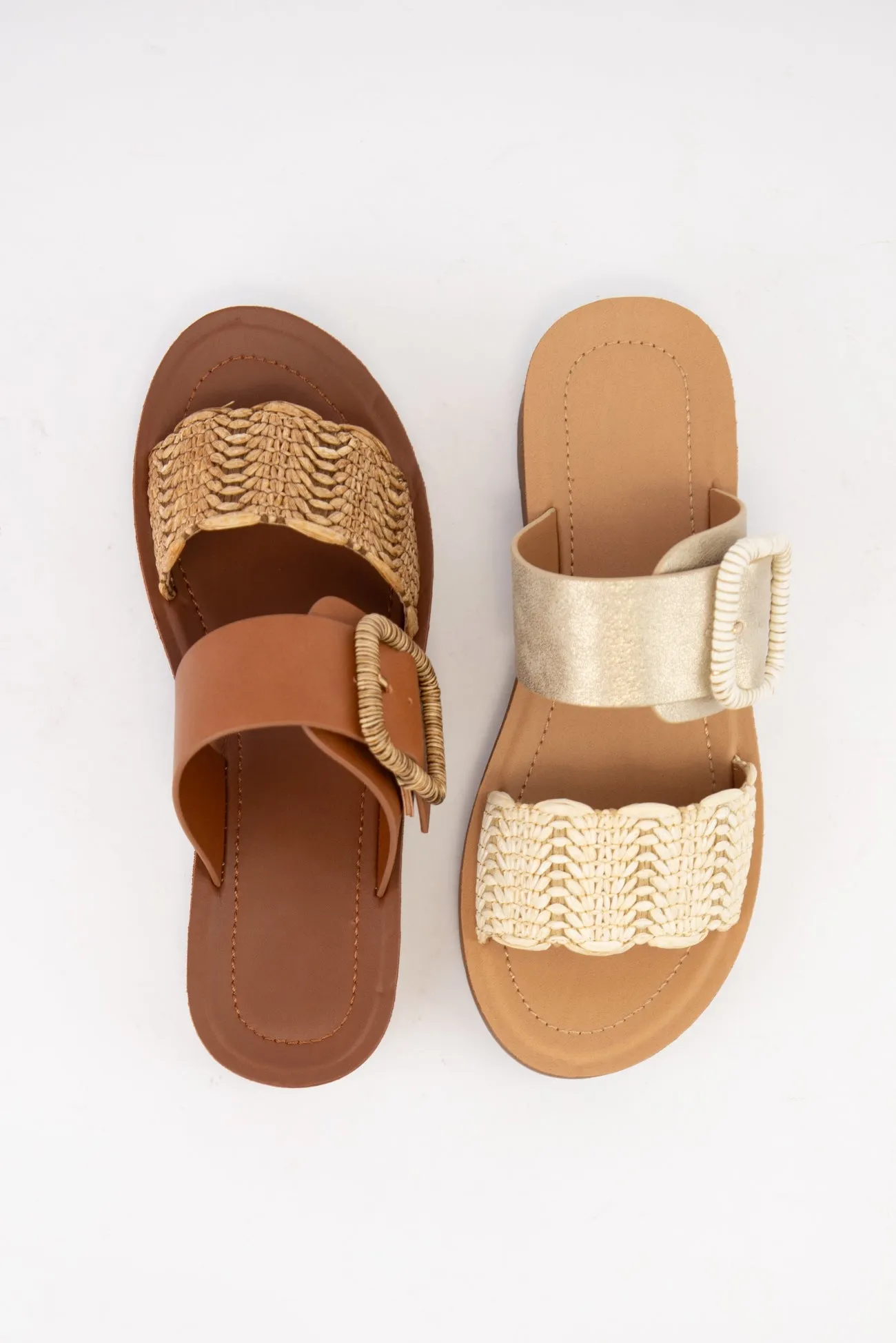 CACTUS sold by CCOCCI product image thumbnail 2