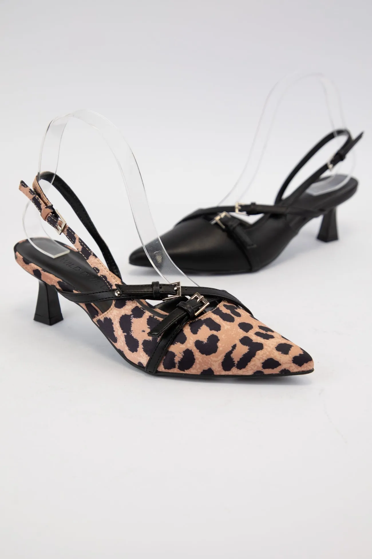 ALEENA-26 sold by CCOCCI product image thumbnail 2