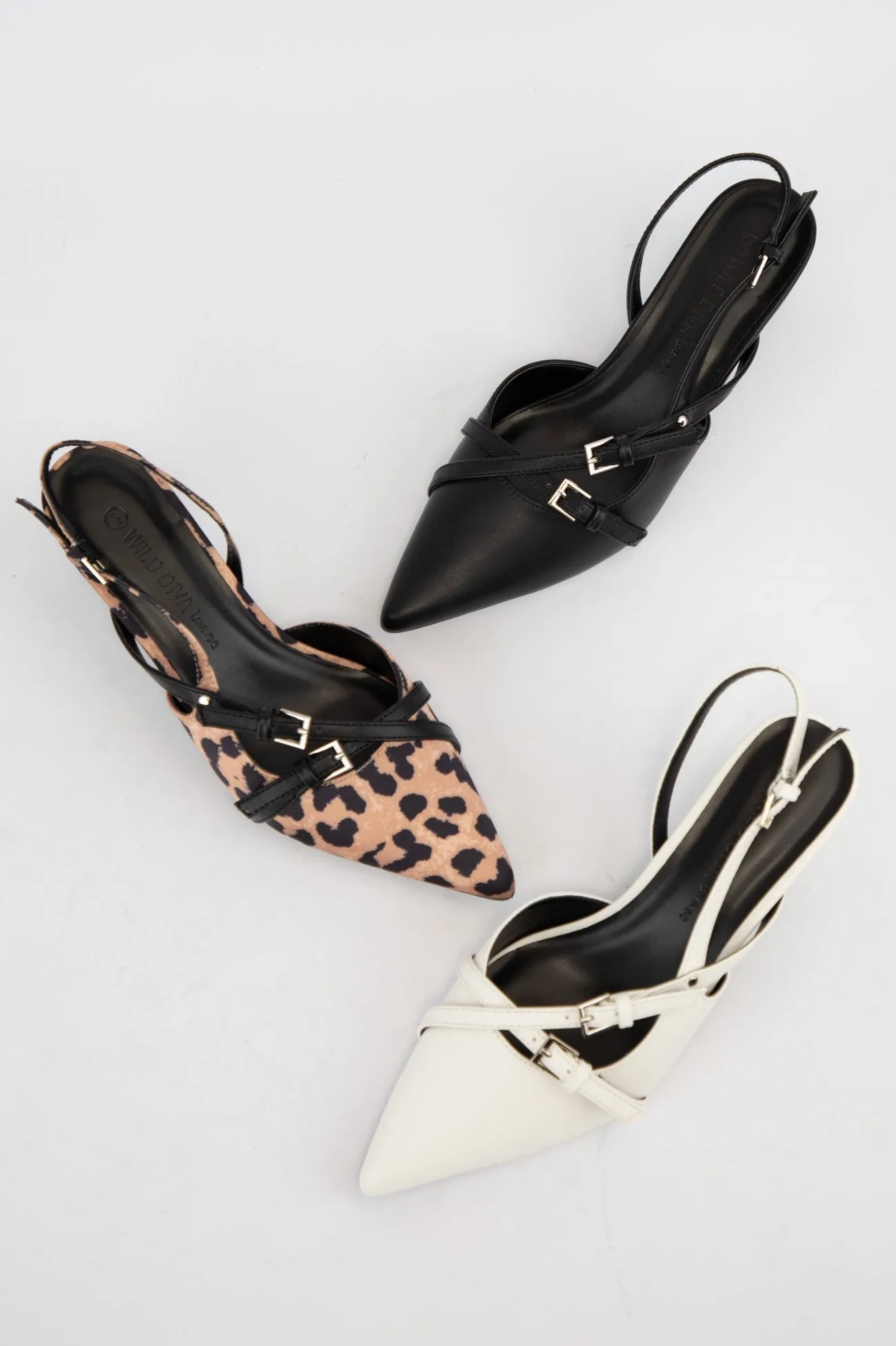 ALEENA-26 sold by CCOCCI