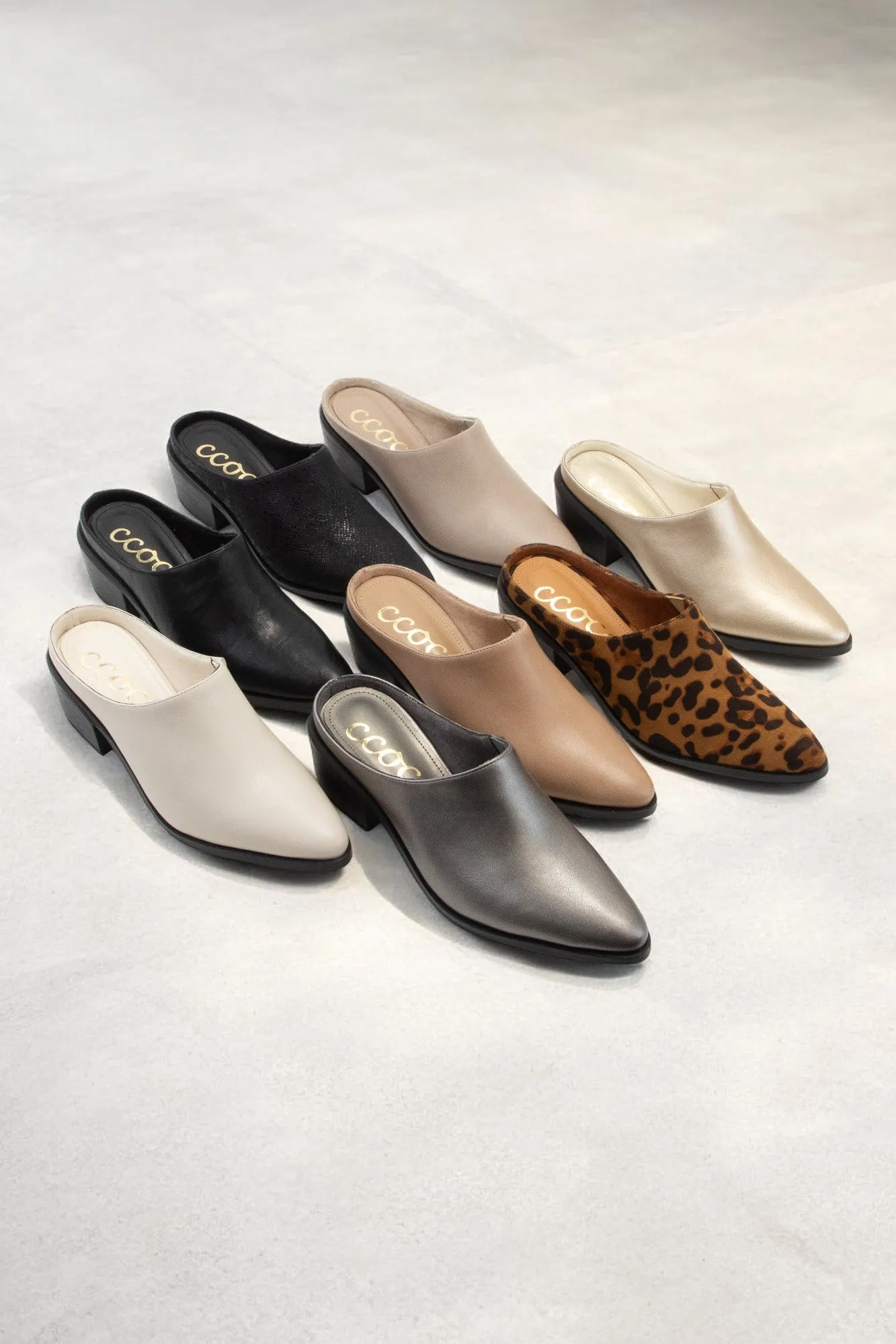 GINA MINI PACK sold by CCOCCI product image thumbnail 2