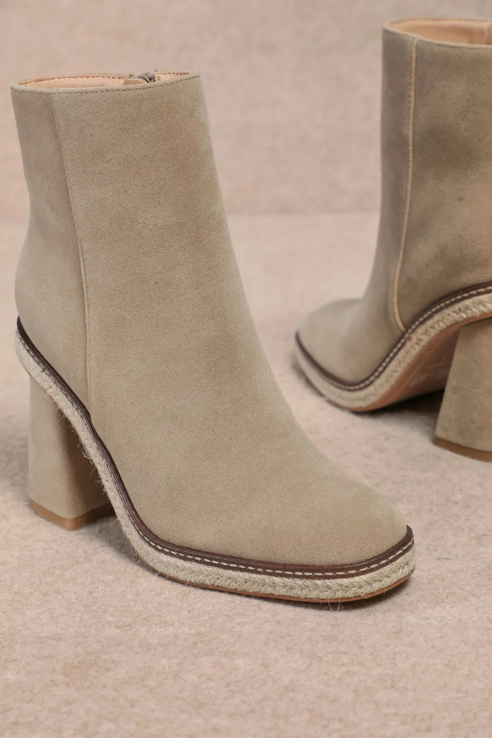 SHELBY sold by CCOCCI