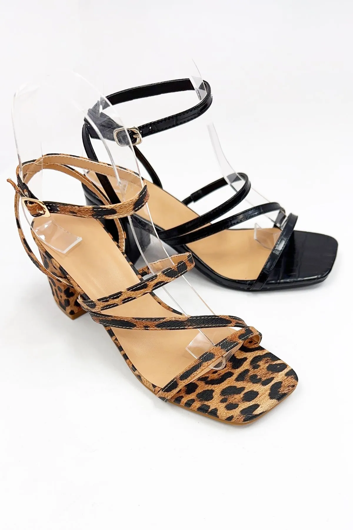 ALI-6 sold by CCOCCI