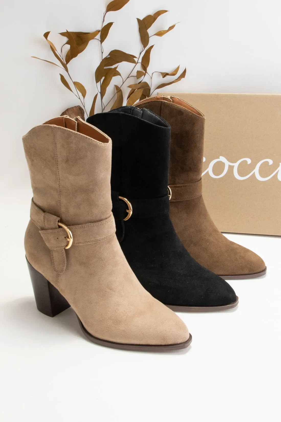 ZANE-02 sold by CCOCCI