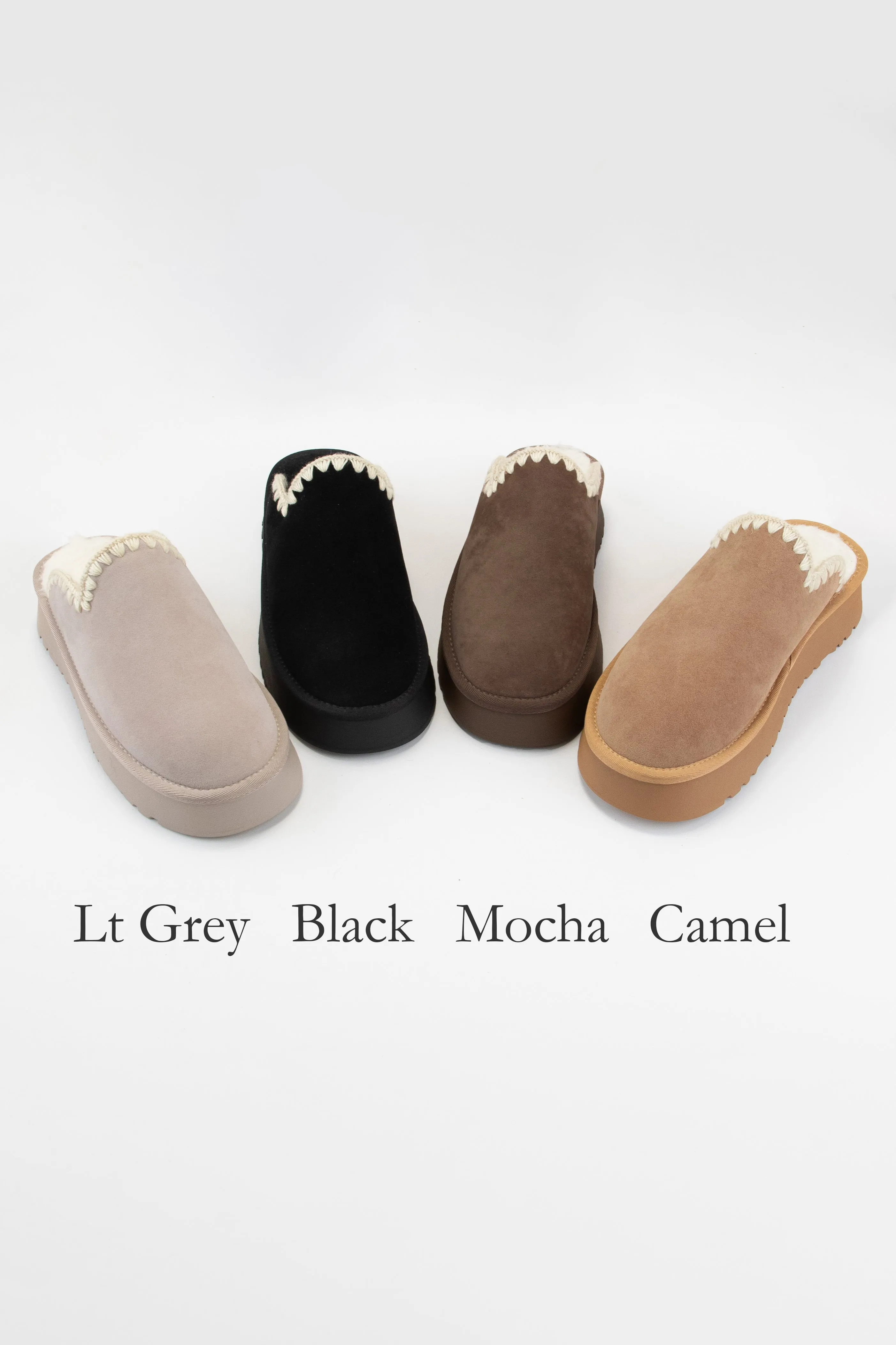 BISCOTTI sold by CCOCCI product image thumbnail 3