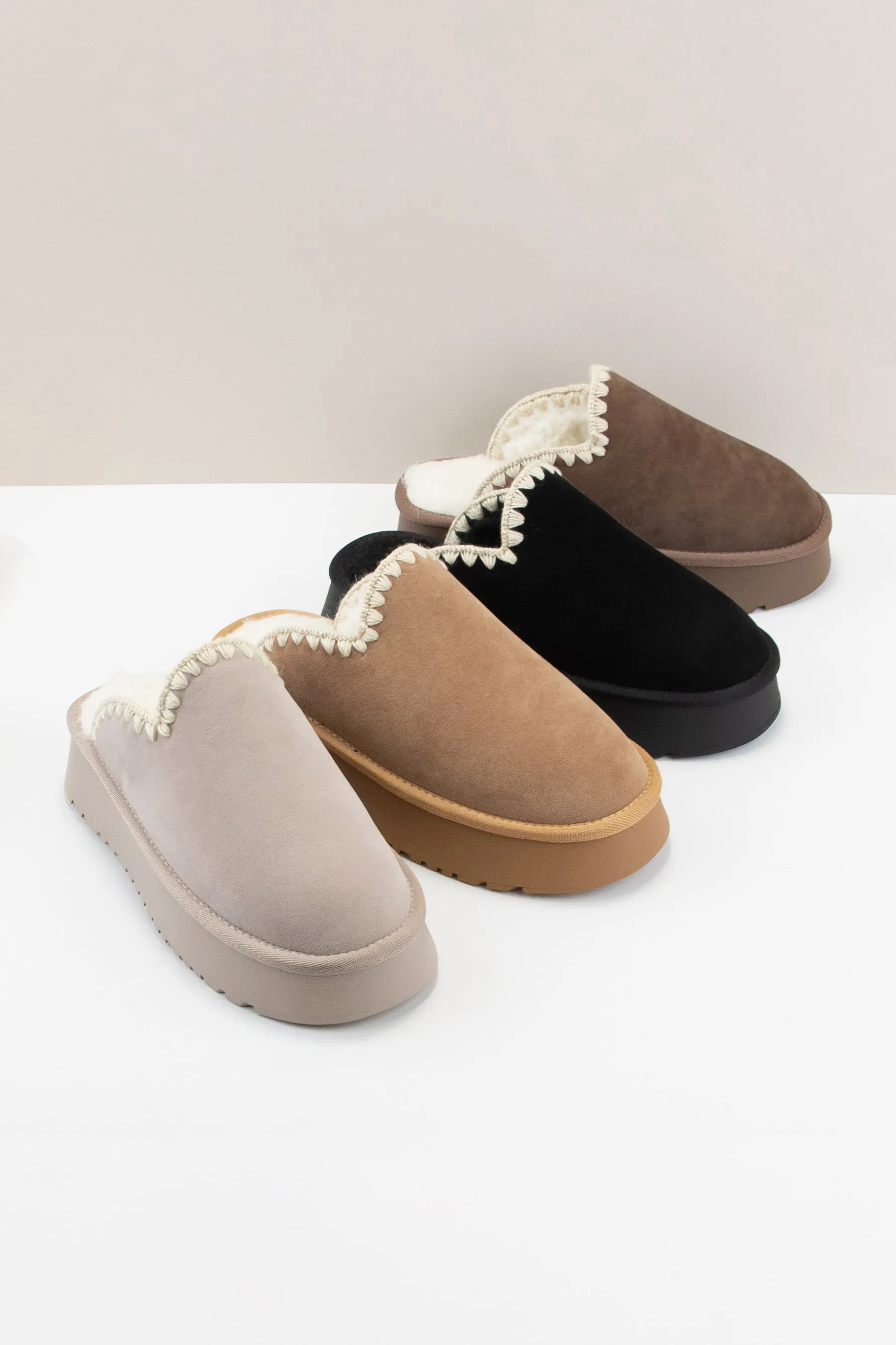 BISCOTTI sold by CCOCCI product image thumbnail 2