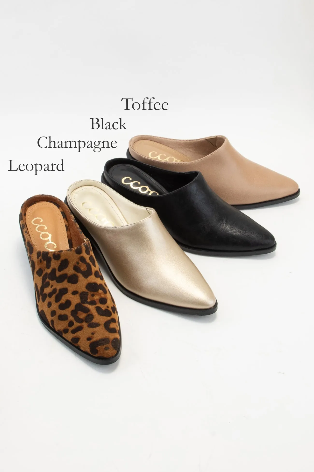 GINA sold by CCOCCI product image thumbnail 3