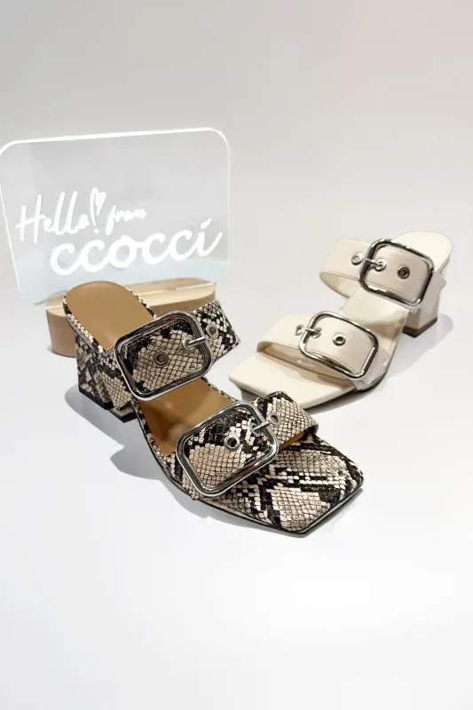 LASTING-64 sold by CCOCCI