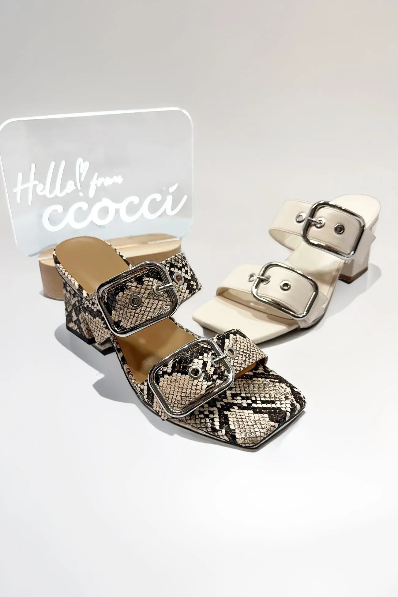 LASTING-64 sold by CCOCCI