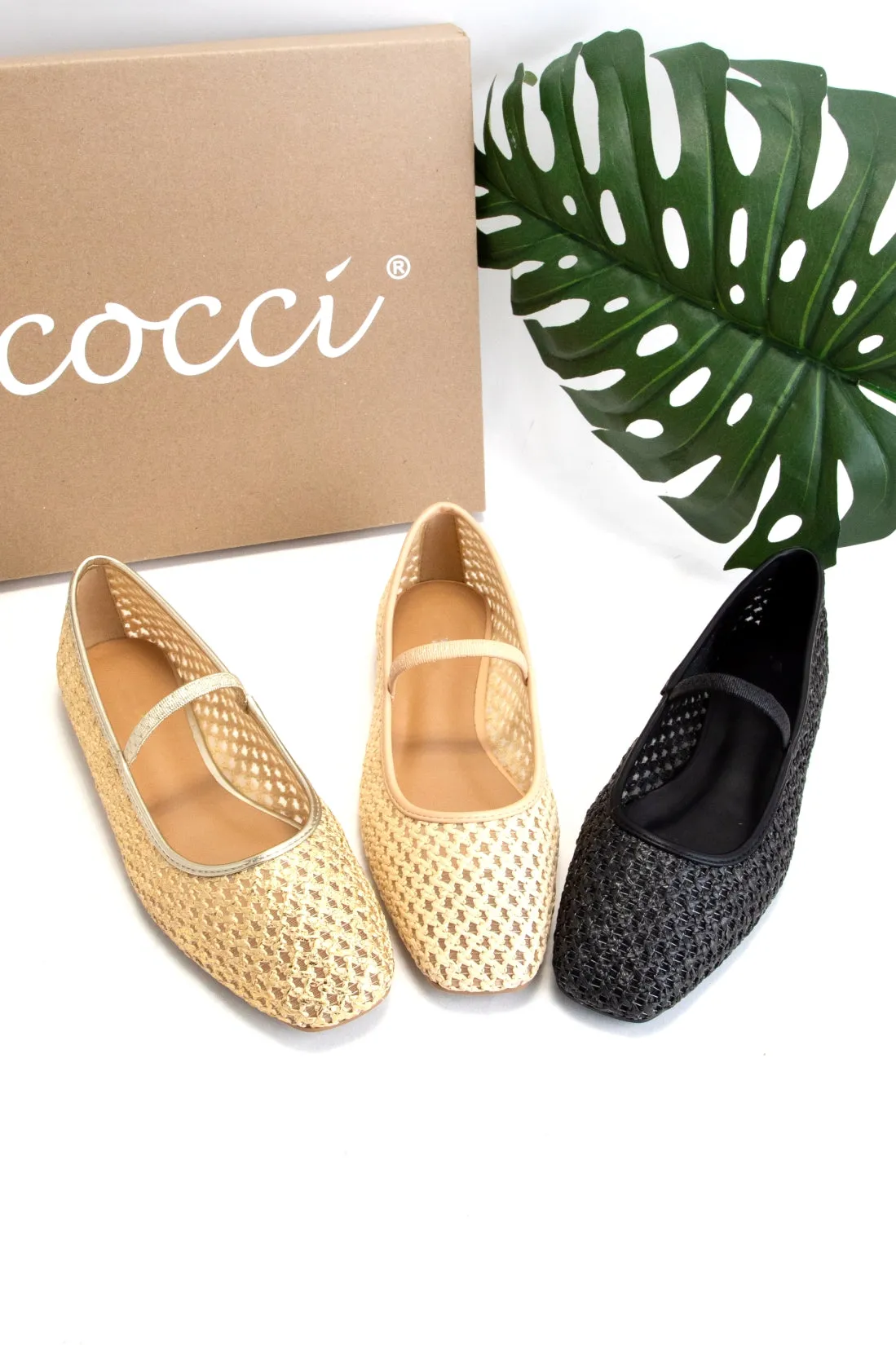 BREEDA sold by CCOCCI