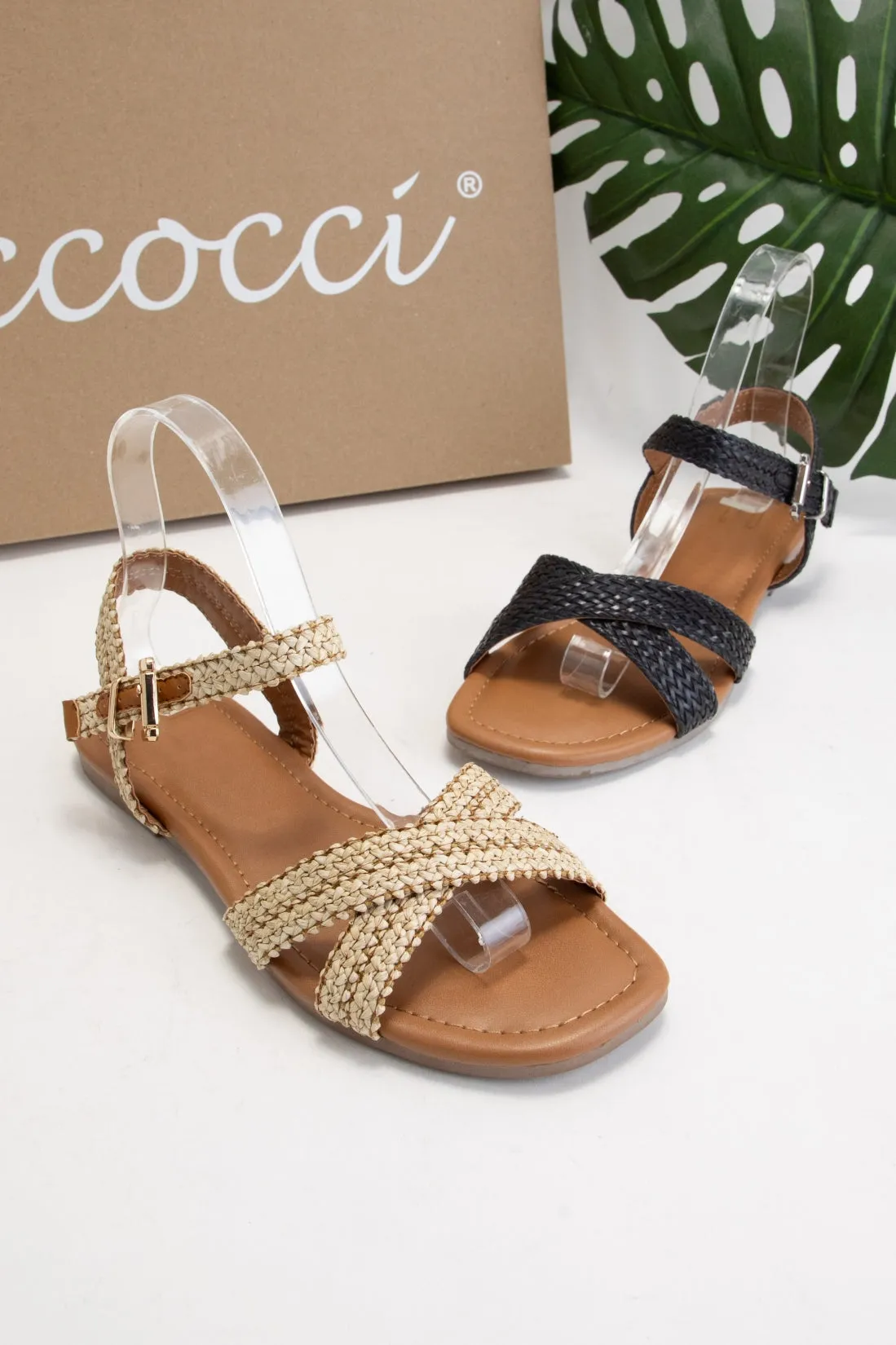 MARLENE sold by CCOCCI product image thumbnail 2