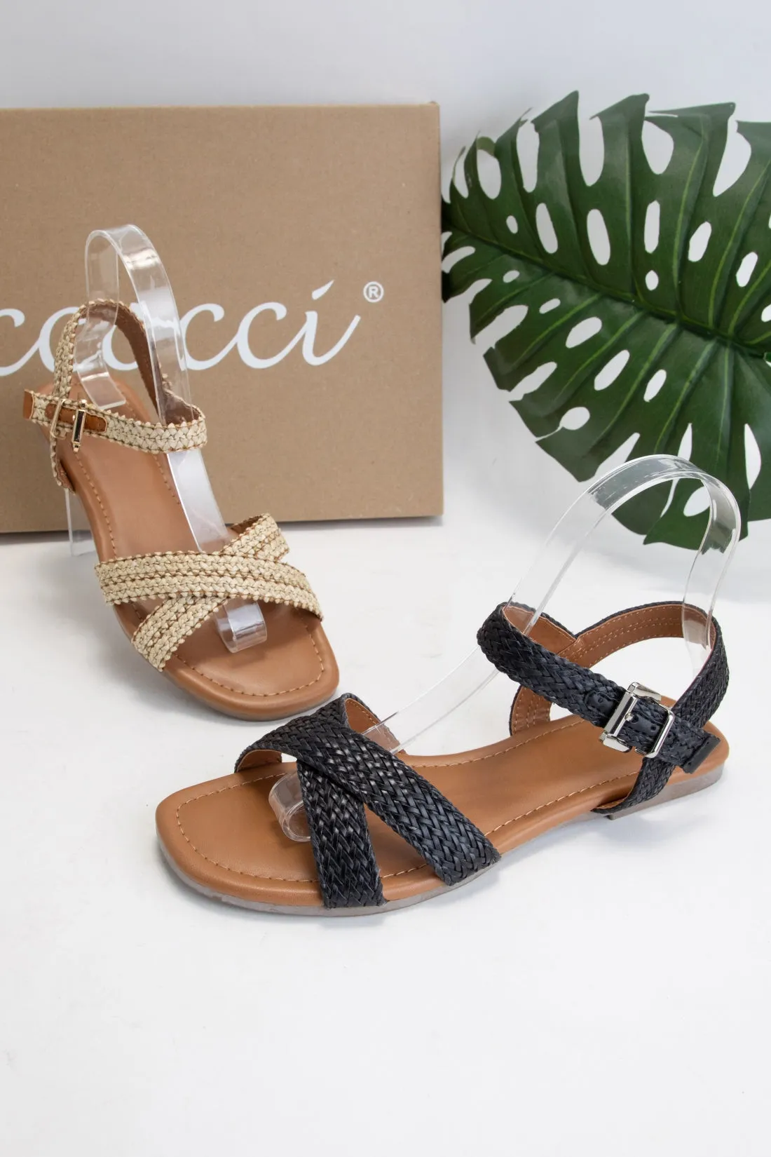 MARLENE sold by CCOCCI product image thumbnail 4