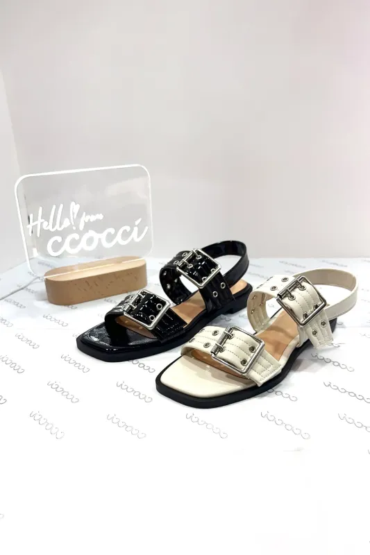 ELVIA-04 sold by CCOCCI