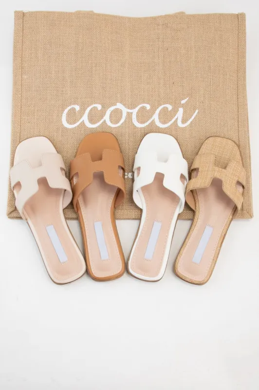 MAIN-13 made by CCOCCI