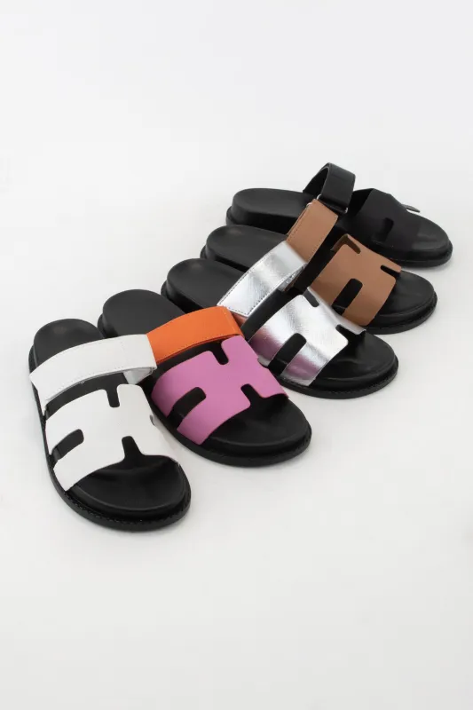 AYO-02 sold by CCOCCI