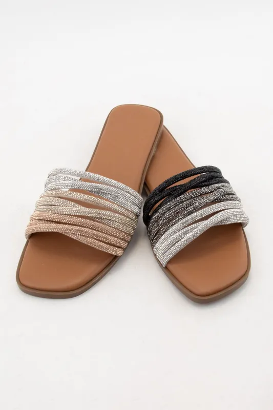 STABLE sold by CCOCCI