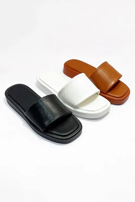 AMIGO-10 sold by CCOCCI