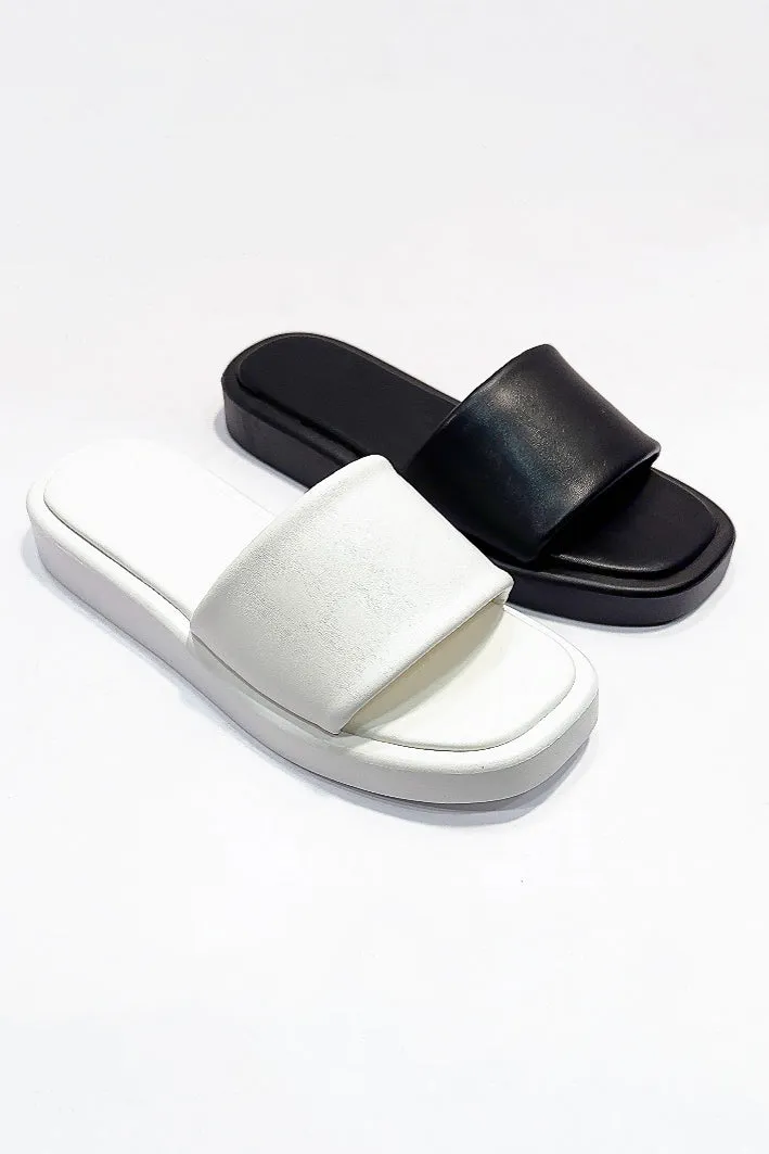 AMIGO-10 sold by CCOCCI product image thumbnail 3