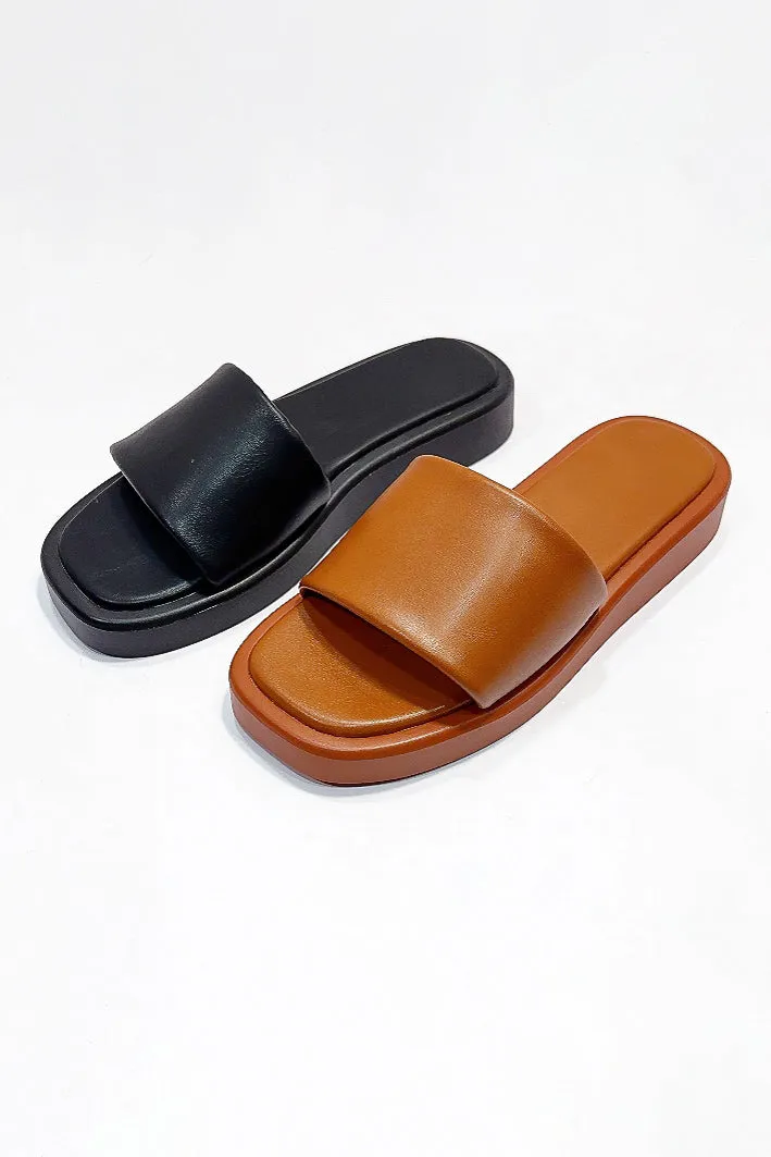 AMIGO-10 sold by CCOCCI product image thumbnail 2