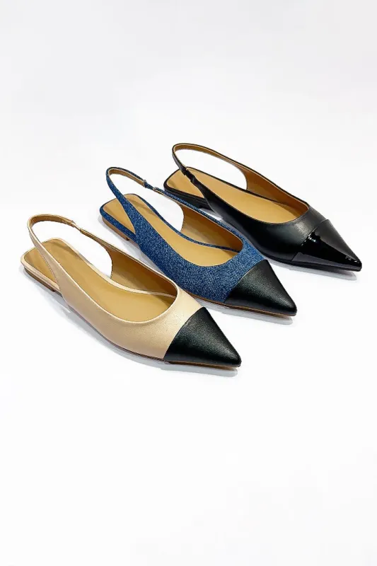 ASSERT-04 sold by CCOCCI