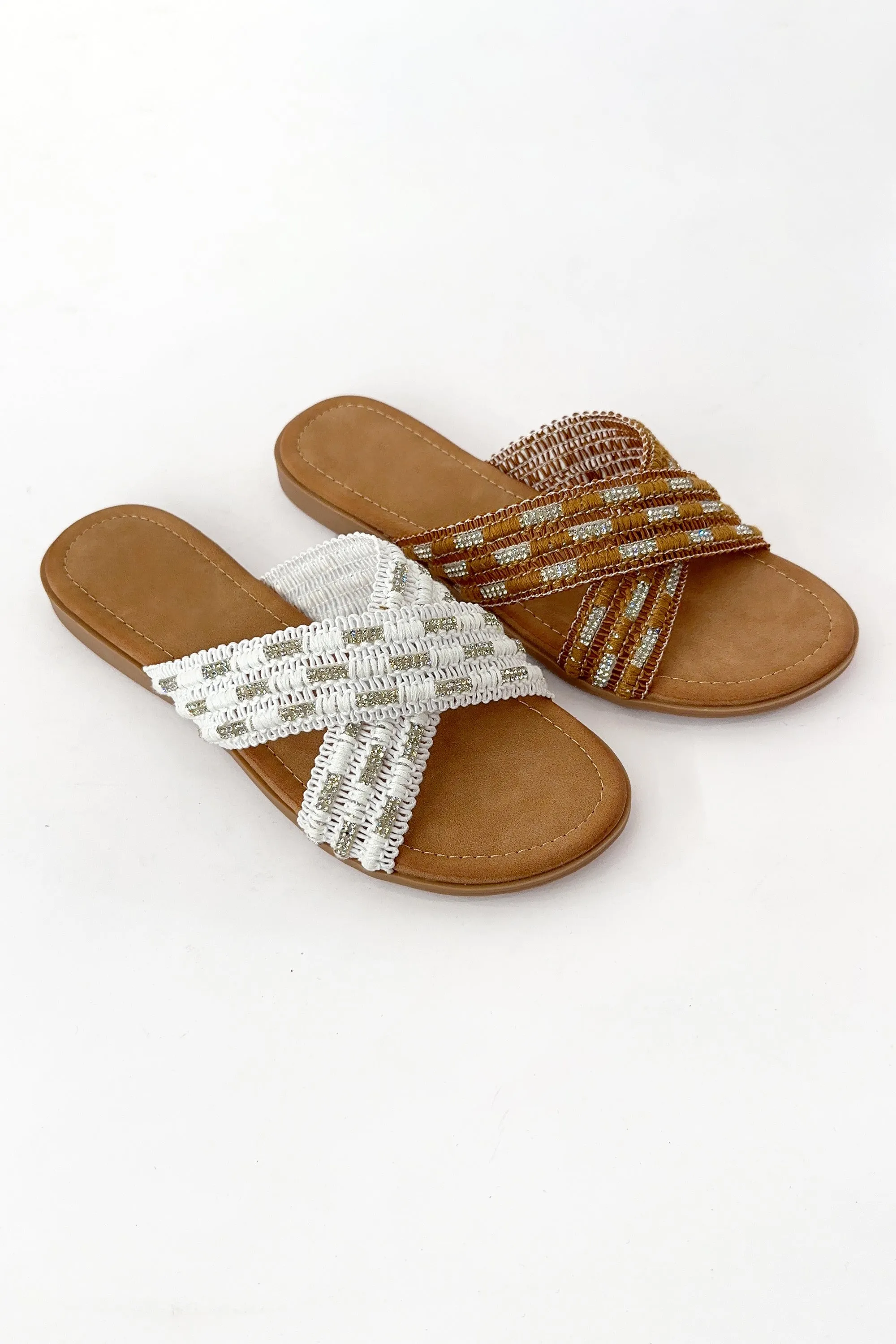 AMPLE-104 sold by CCOCCI product image thumbnail 2