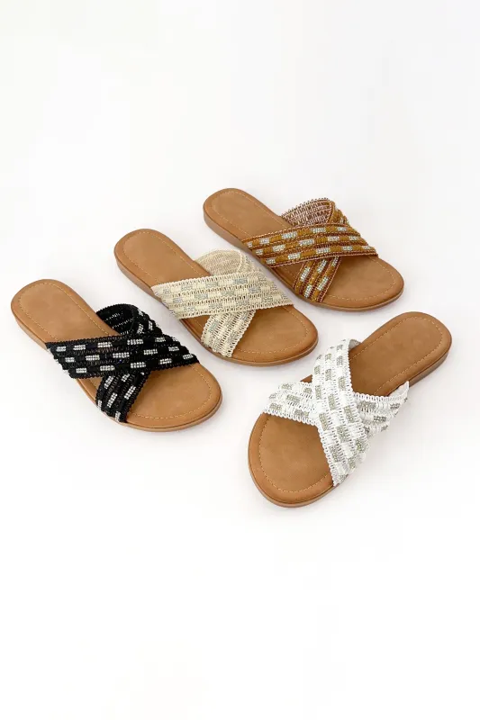 AMPLE-104 sold by CCOCCI