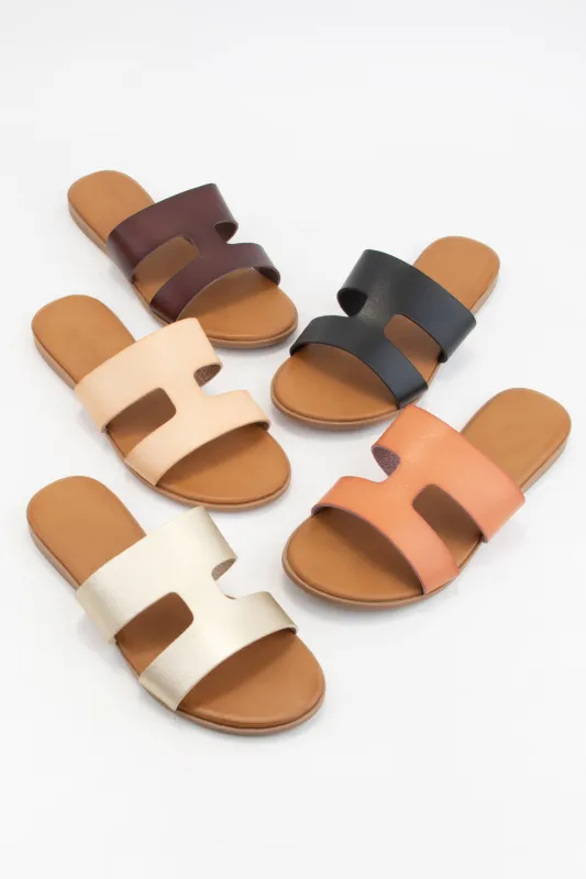 AMPLE-71 sold by CCOCCI