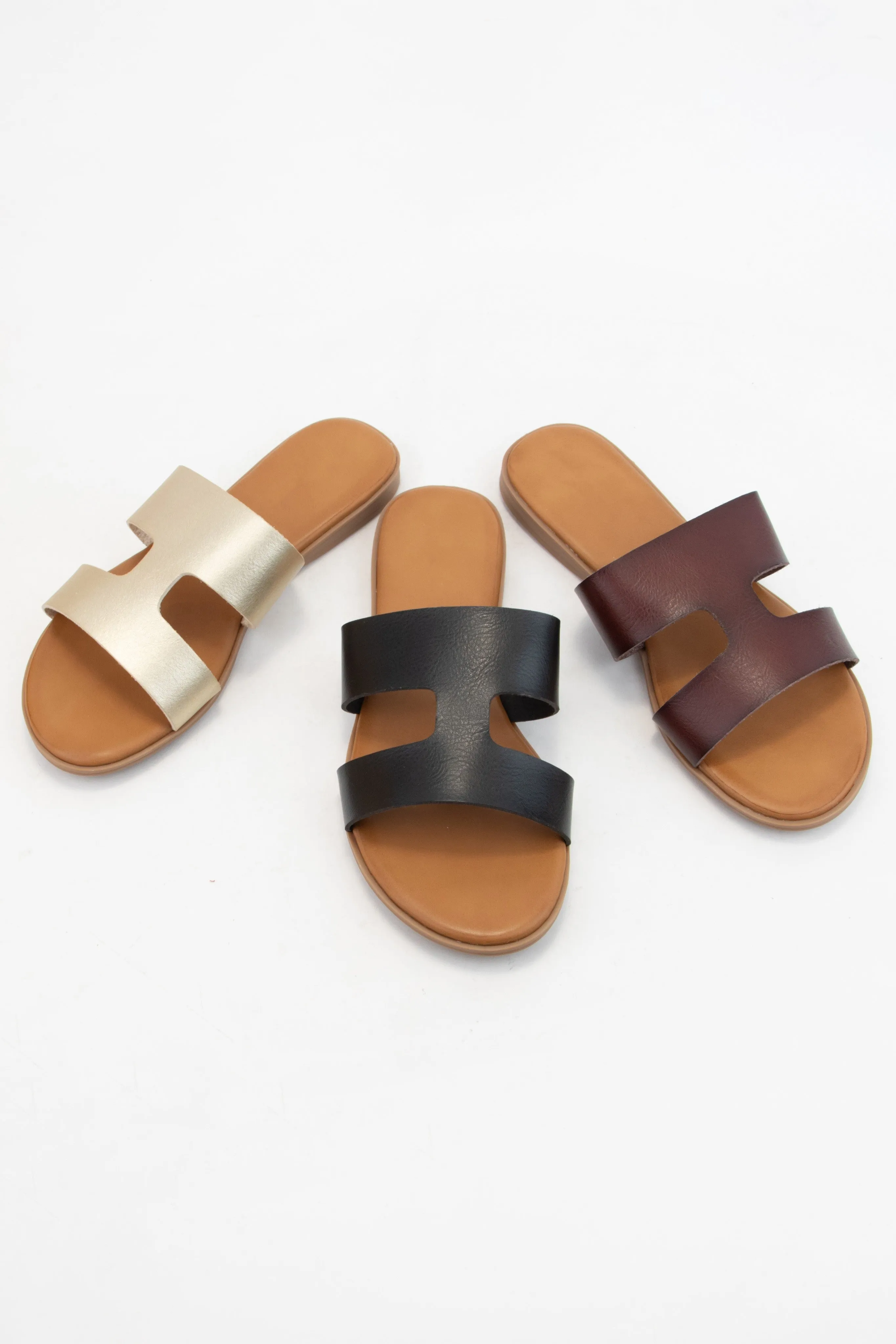 AMPLE-71 sold by CCOCCI product image thumbnail 4