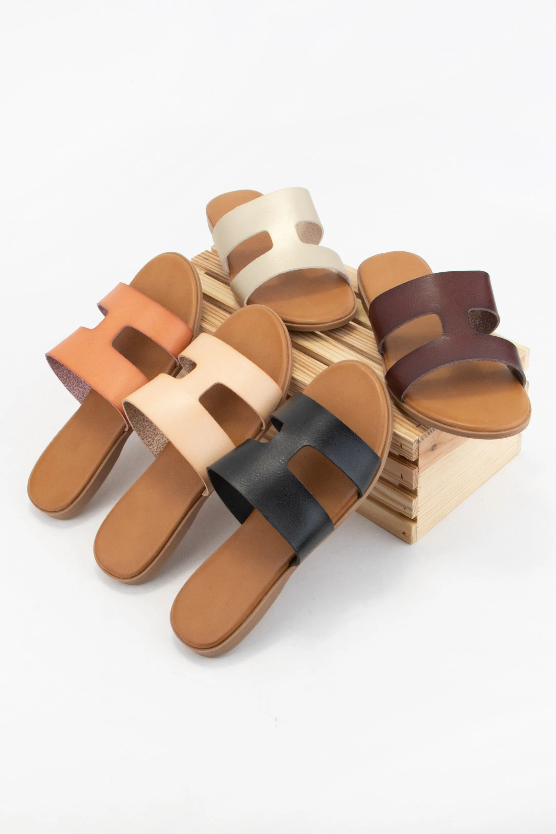 AMPLE-71 sold by CCOCCI product image thumbnail 2