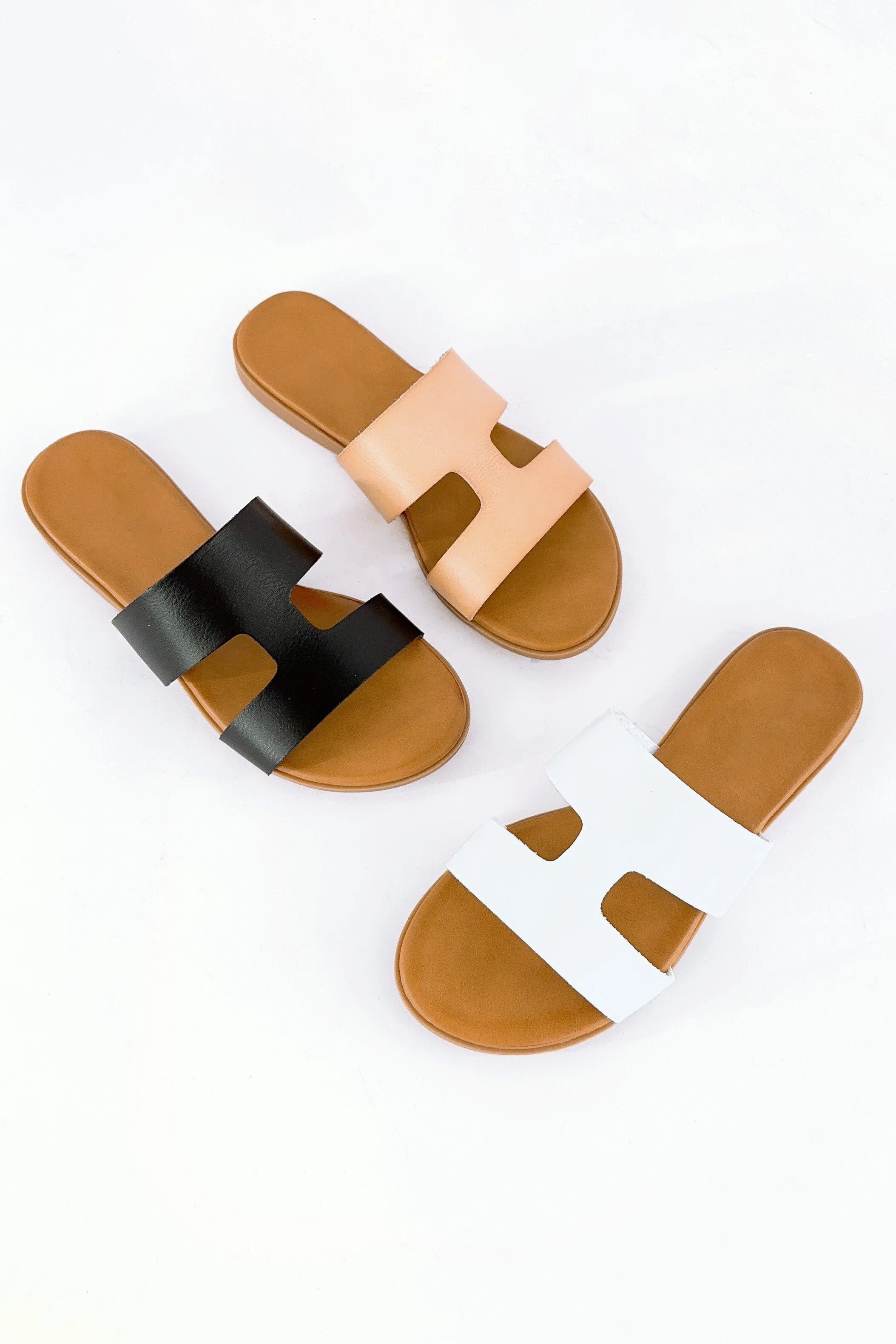 AMPLE-71 sold by CCOCCI product image thumbnail 3