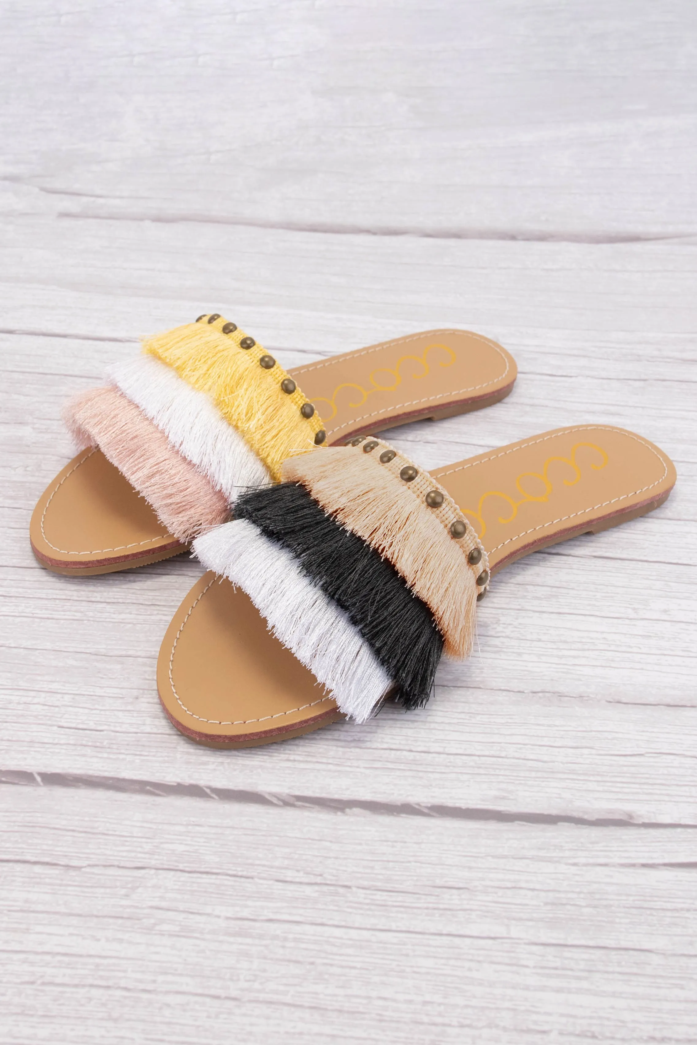 MARGARITA MINI PACK sold by CCOCCI product image thumbnail 2