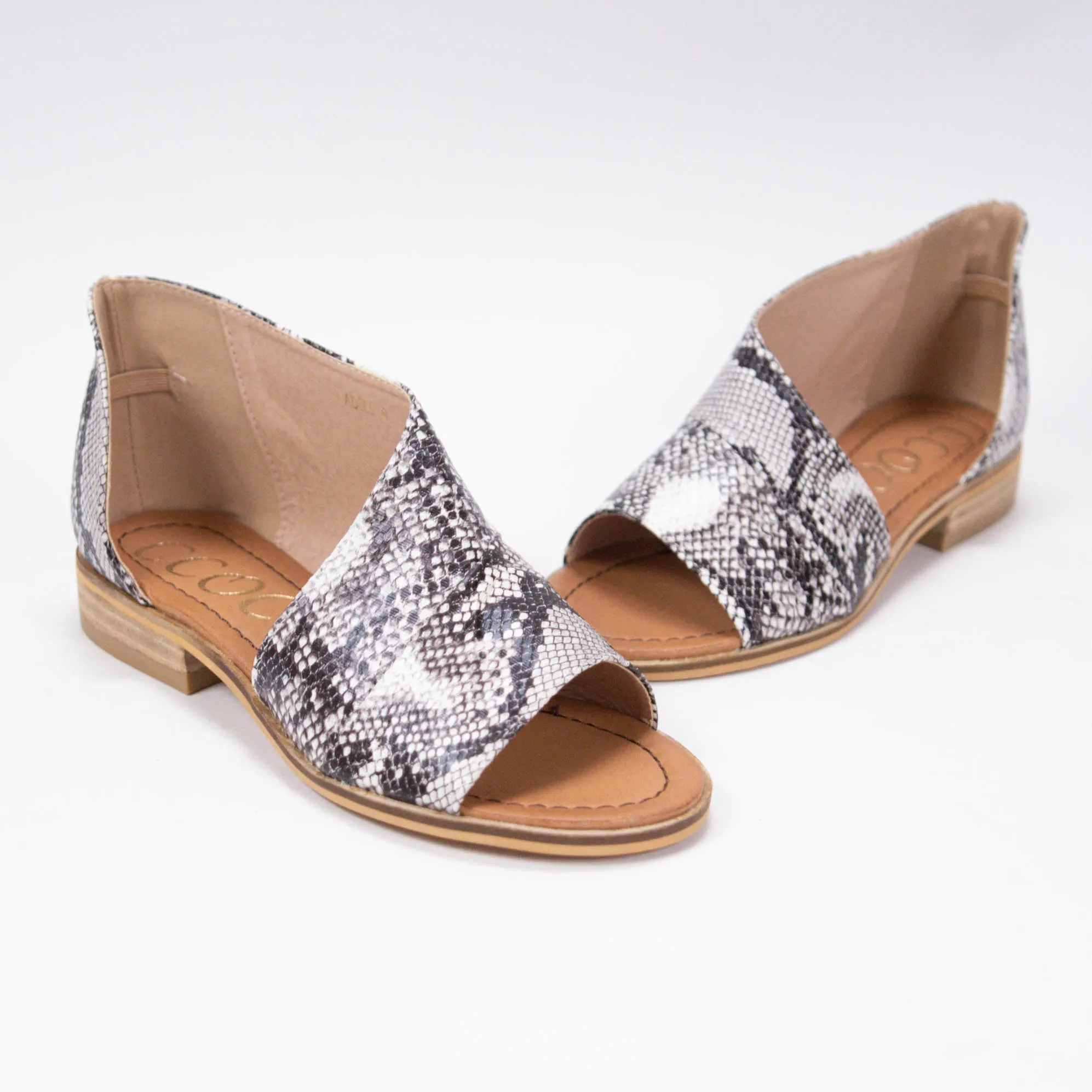 ADELE sold by CCOCCI product image thumbnail 4